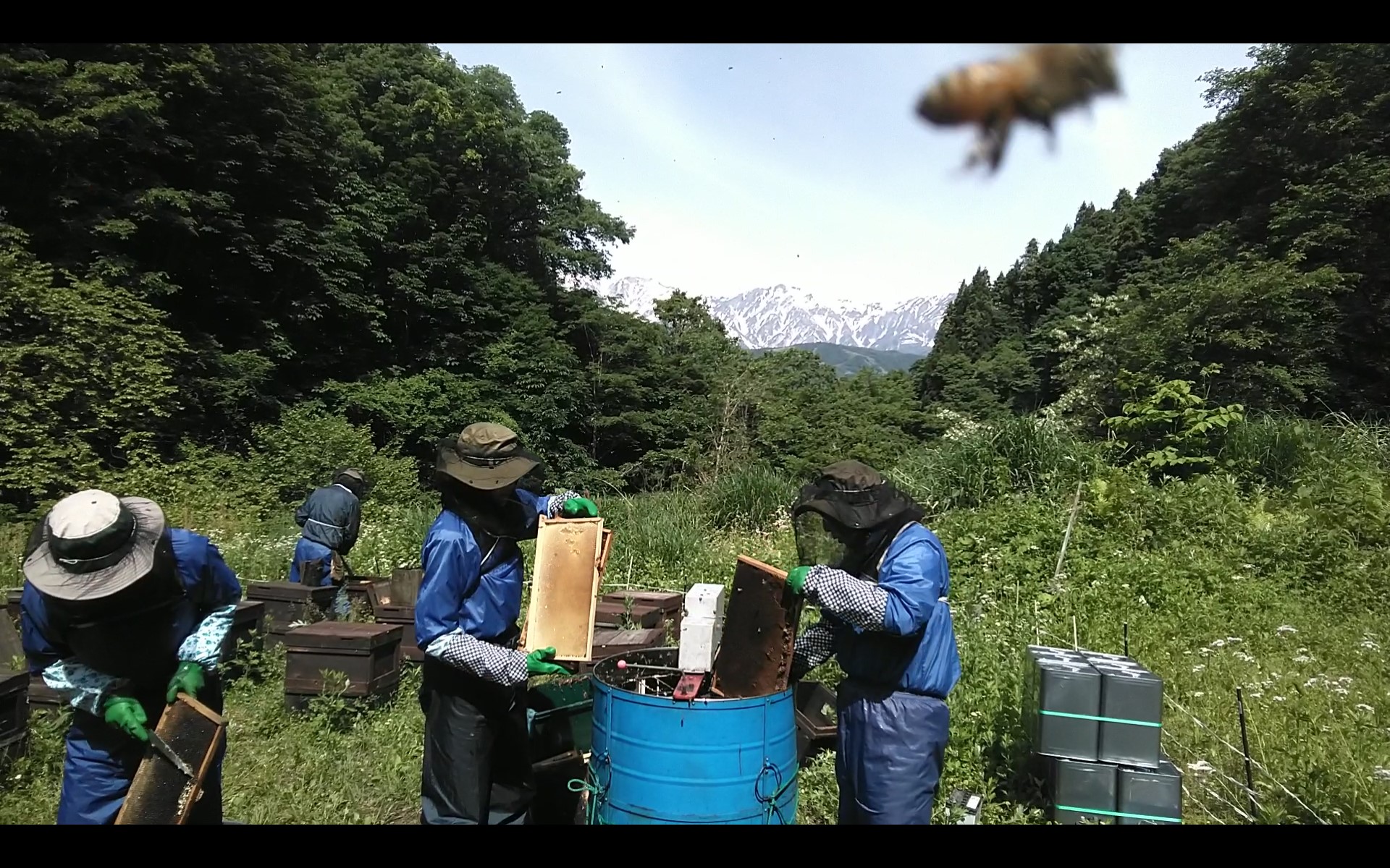 No.509 残雪の北アルプス連山を眺望し、初夏の風を感じながらも緊張